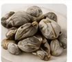 Huitlacoche / Cuitlacoche