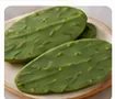 Nopales